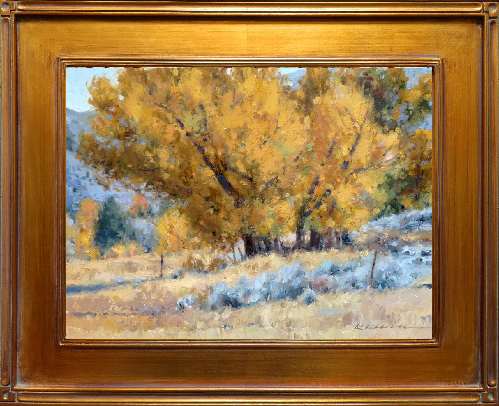 Mesa Cottonwoods