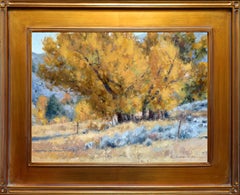Mesa Cottonwoods