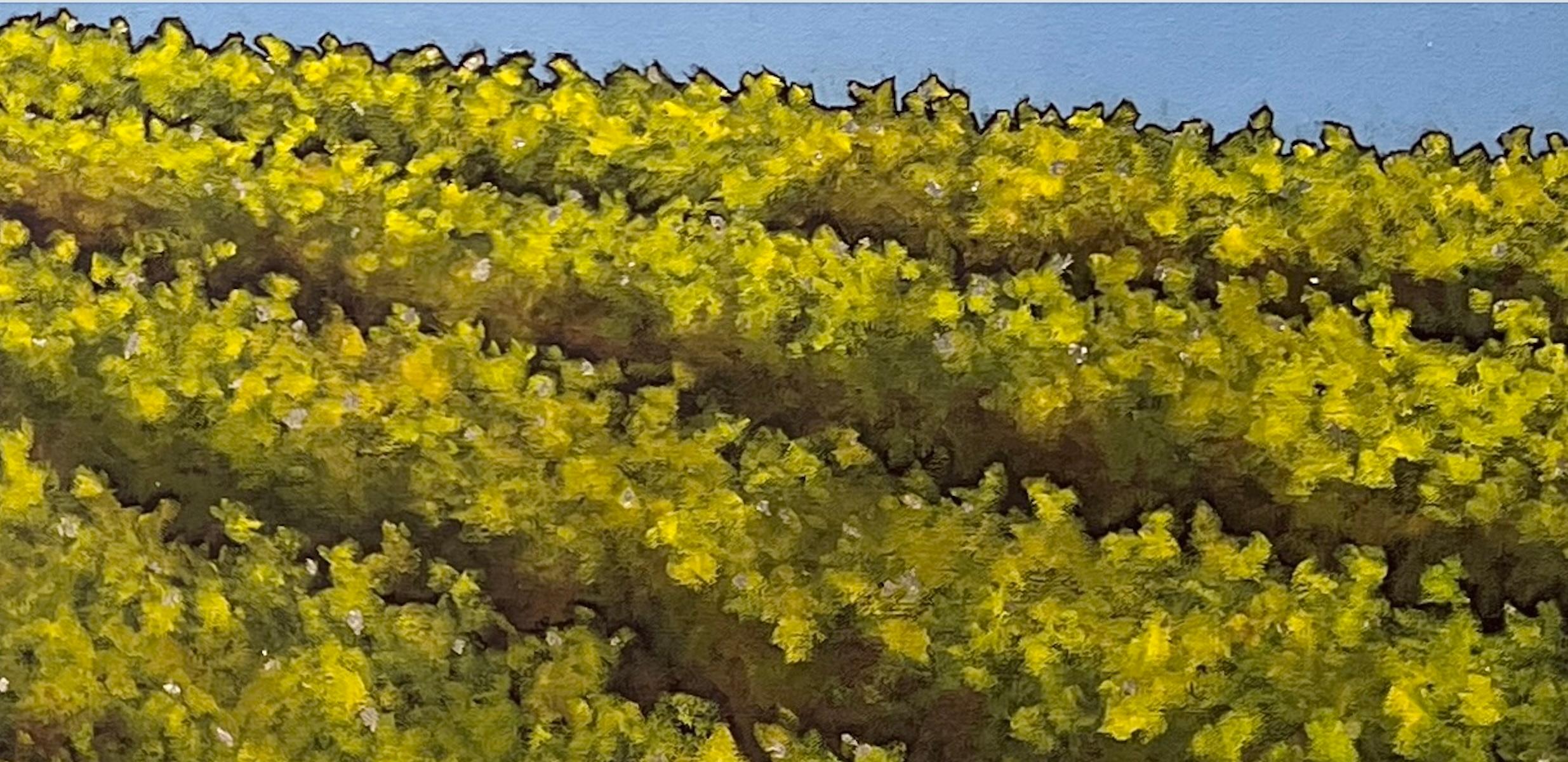 Circondata dall'ispirazione artistica fin dalla più tenera età, Kate Salenfriend ha appreso la maggior parte delle sue abilità tecniche dal suo bisnonno, Stewart Robertson, pittore di ritratti registrato in California. Cresciuta nella valle agricola