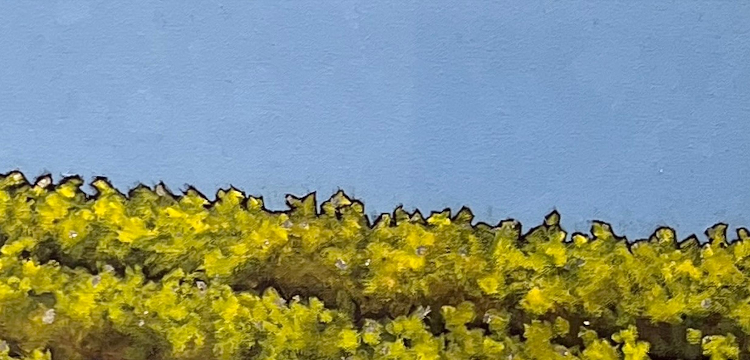 Raccolto d'oro 4975 in vendita 4