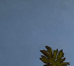 Hidden Vineyard 4979
