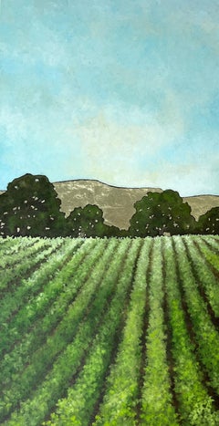 Ciel et vigne 4925