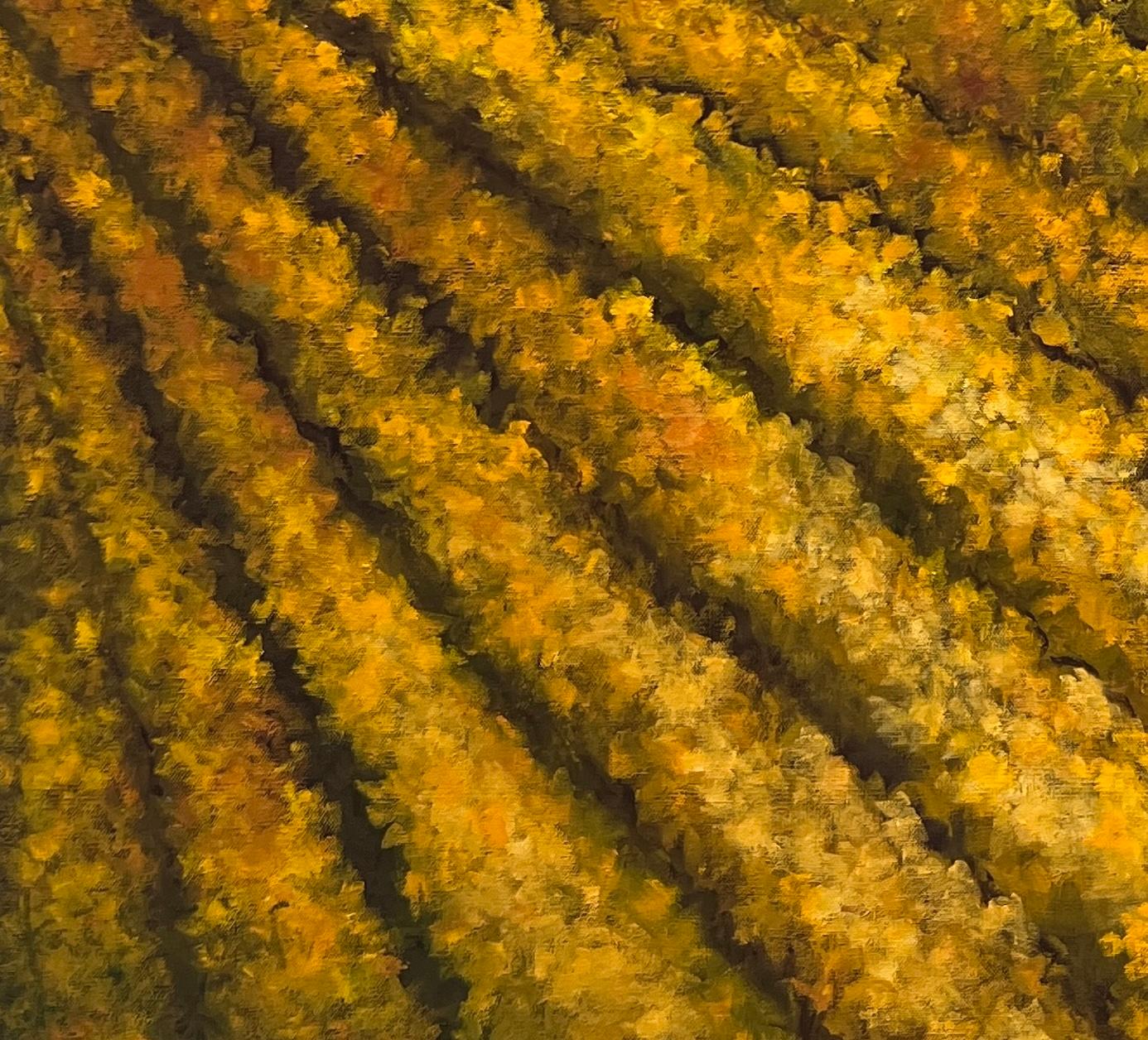 Surrounded by artistic inspiration from a very early age, Kate Salenfriend learned most of her technical skills from her great-grandfather, Stewart Robertson, the registered California portrait painter. Growing up in the agricultural San Joaquin