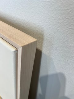 Schwarzbrustsusan Saison