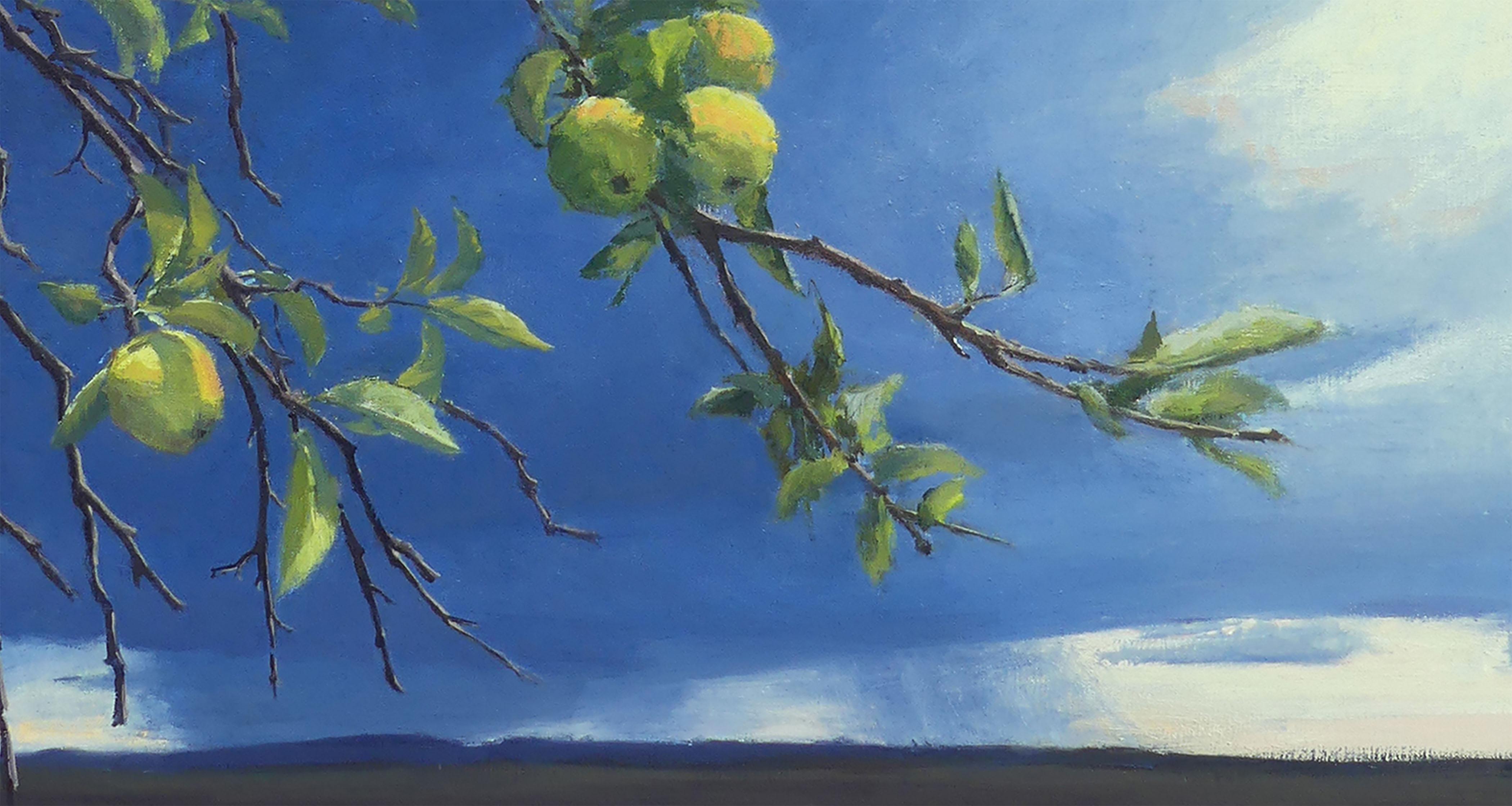 Green Apples (Luminous contemporary western landscape of moody skies & apples) For Sale 1