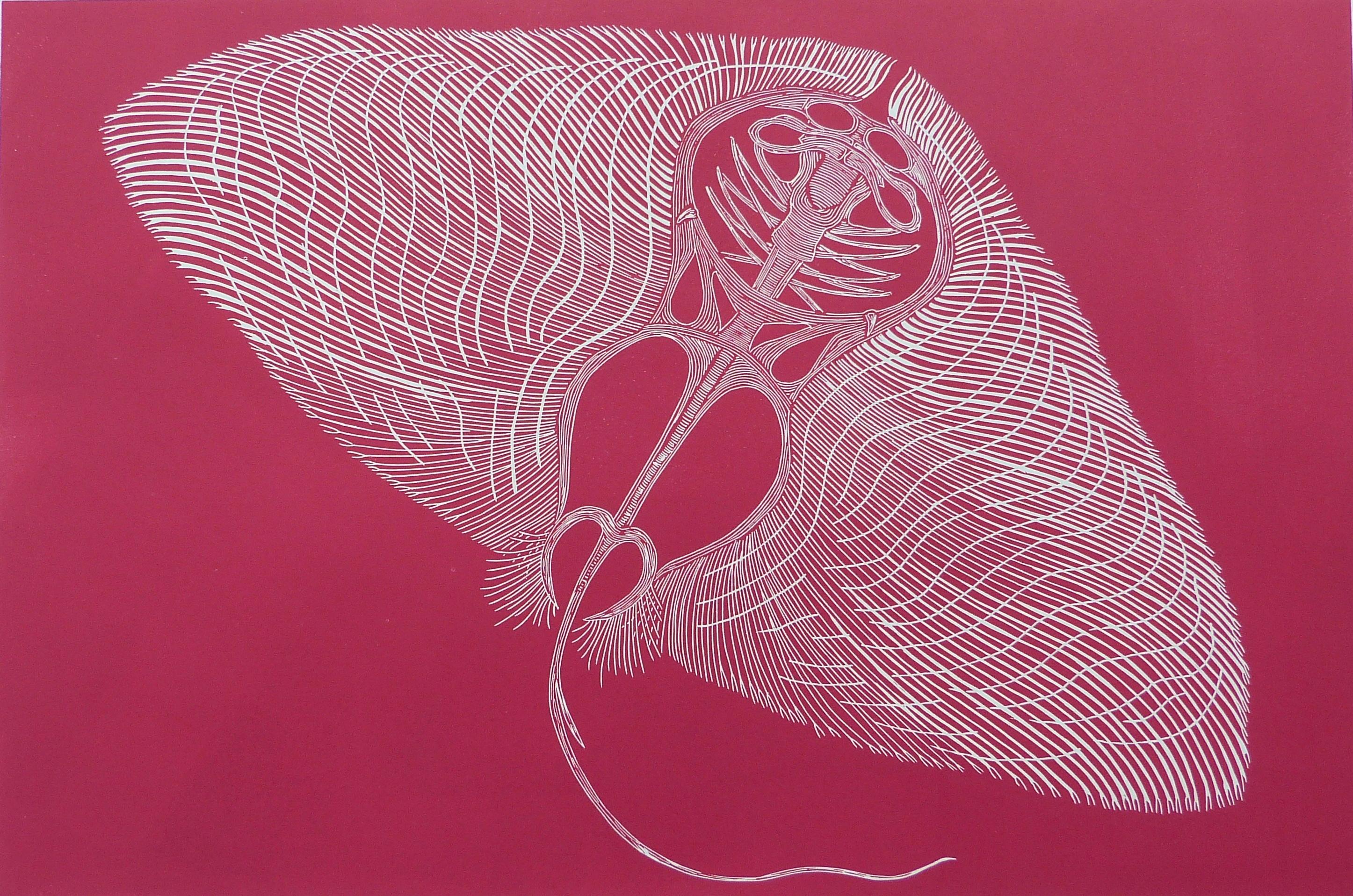 Butterfly Ray, zeitgenössisch, Linoldruck (Zeitgenössisch), Print, von Kate Willows