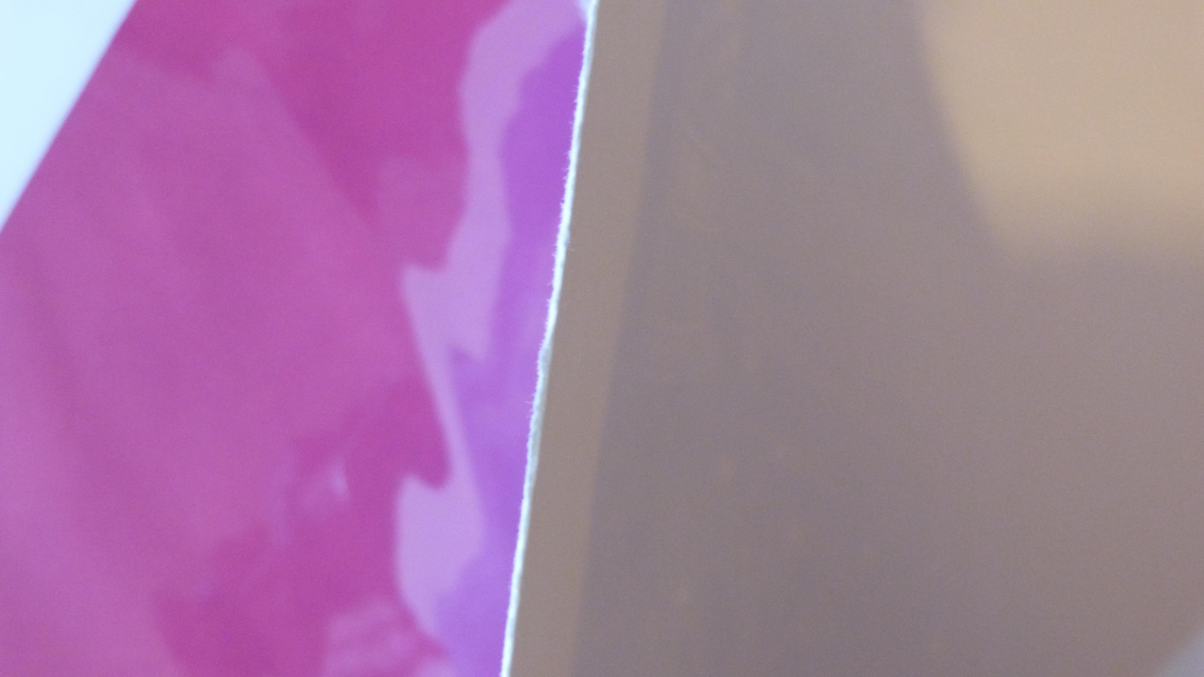 Butterfly Ray & Starry Night Over Albert Bridge, diptyque, impression Lino en vente 1