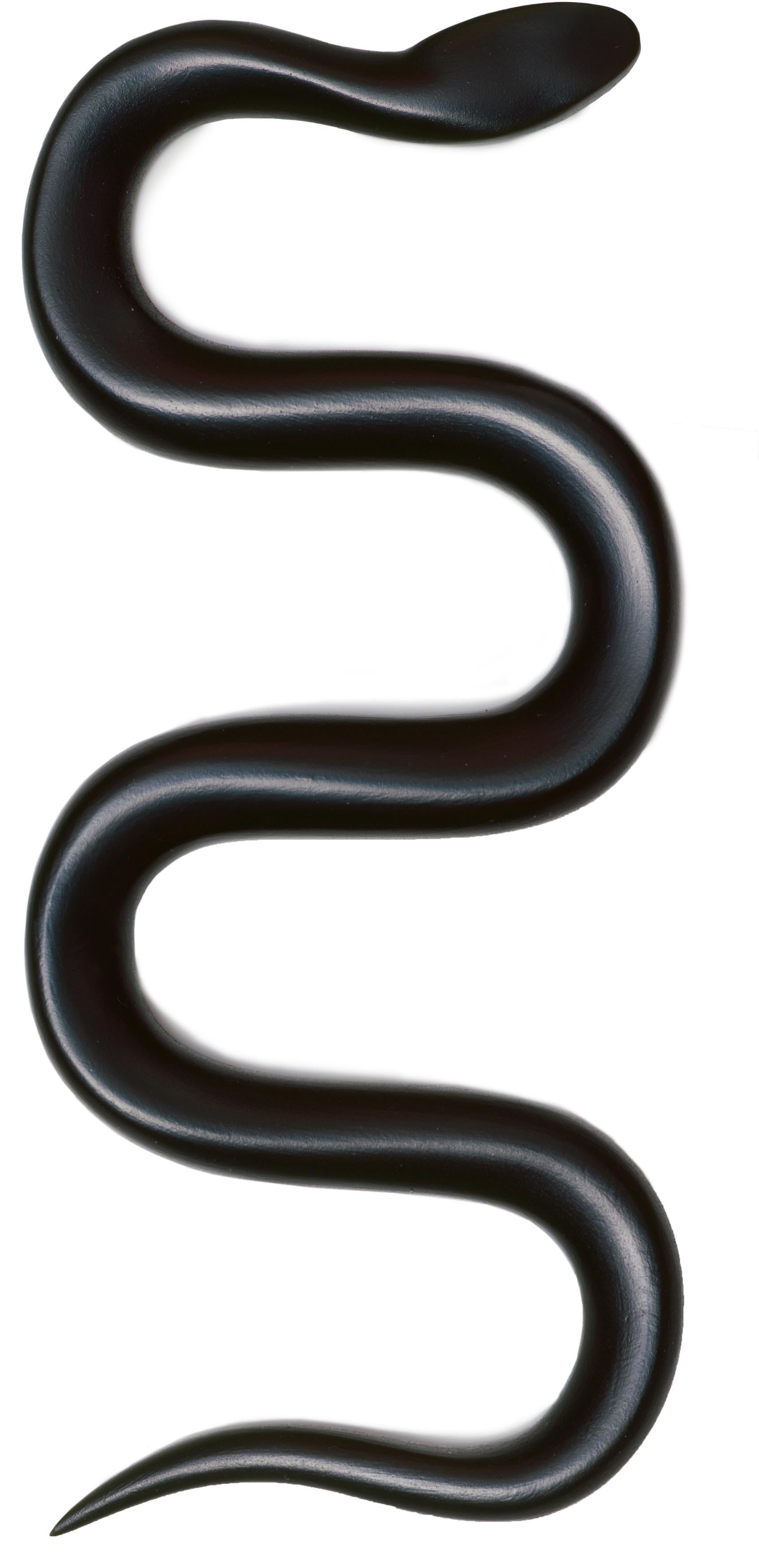 Schlange/Snake - Sculpture de Katharina Fritsch