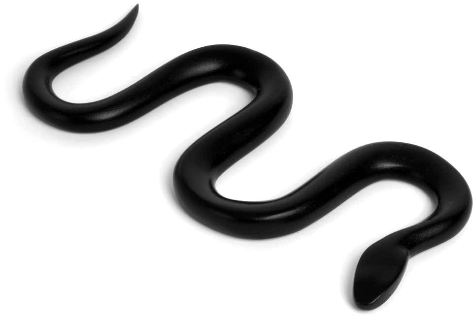 Schlange / Snake