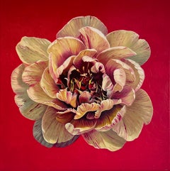 In onore del tuo amore - K.Husslein rosa fiorita iperrealistica Natura morta