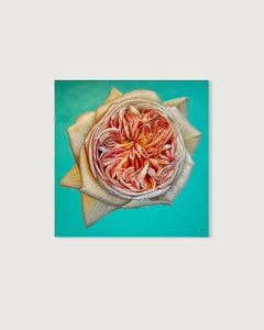 Le cœur a ses raisons - K.Kusslein fleur rose hyperréaliste Nature morte