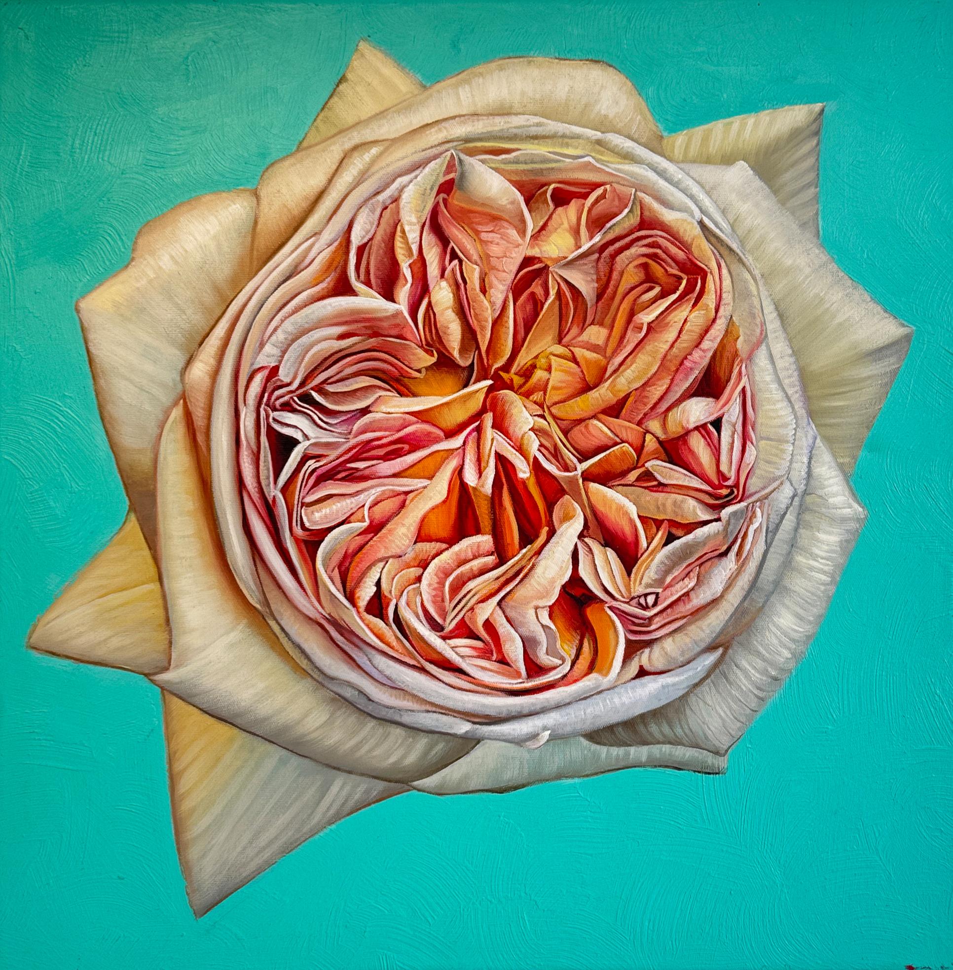 The Heart has it
s Reasons - K.Husslein hyperrealistic flower rose Still life