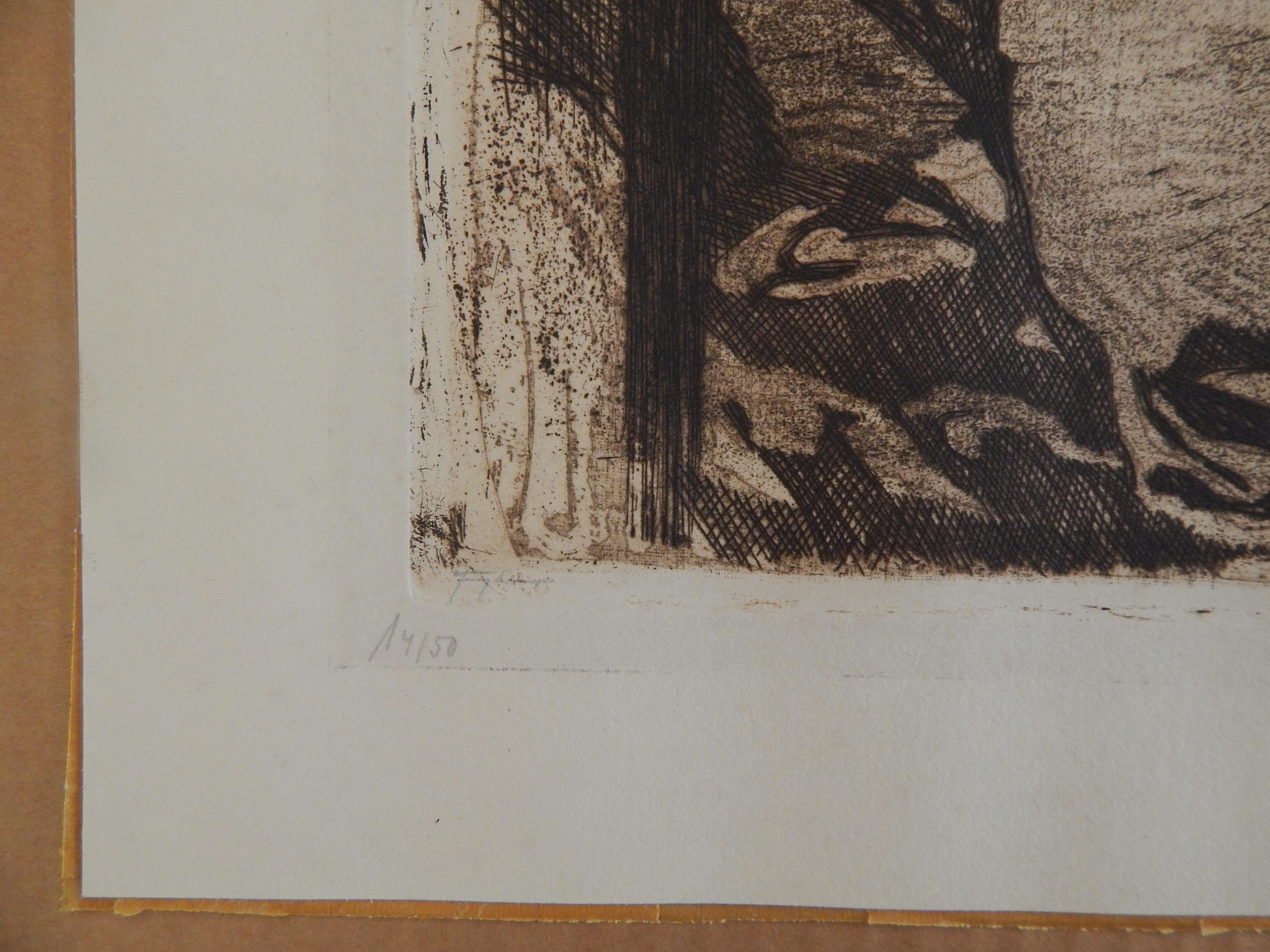 käthe kollwitz charcoal drawings