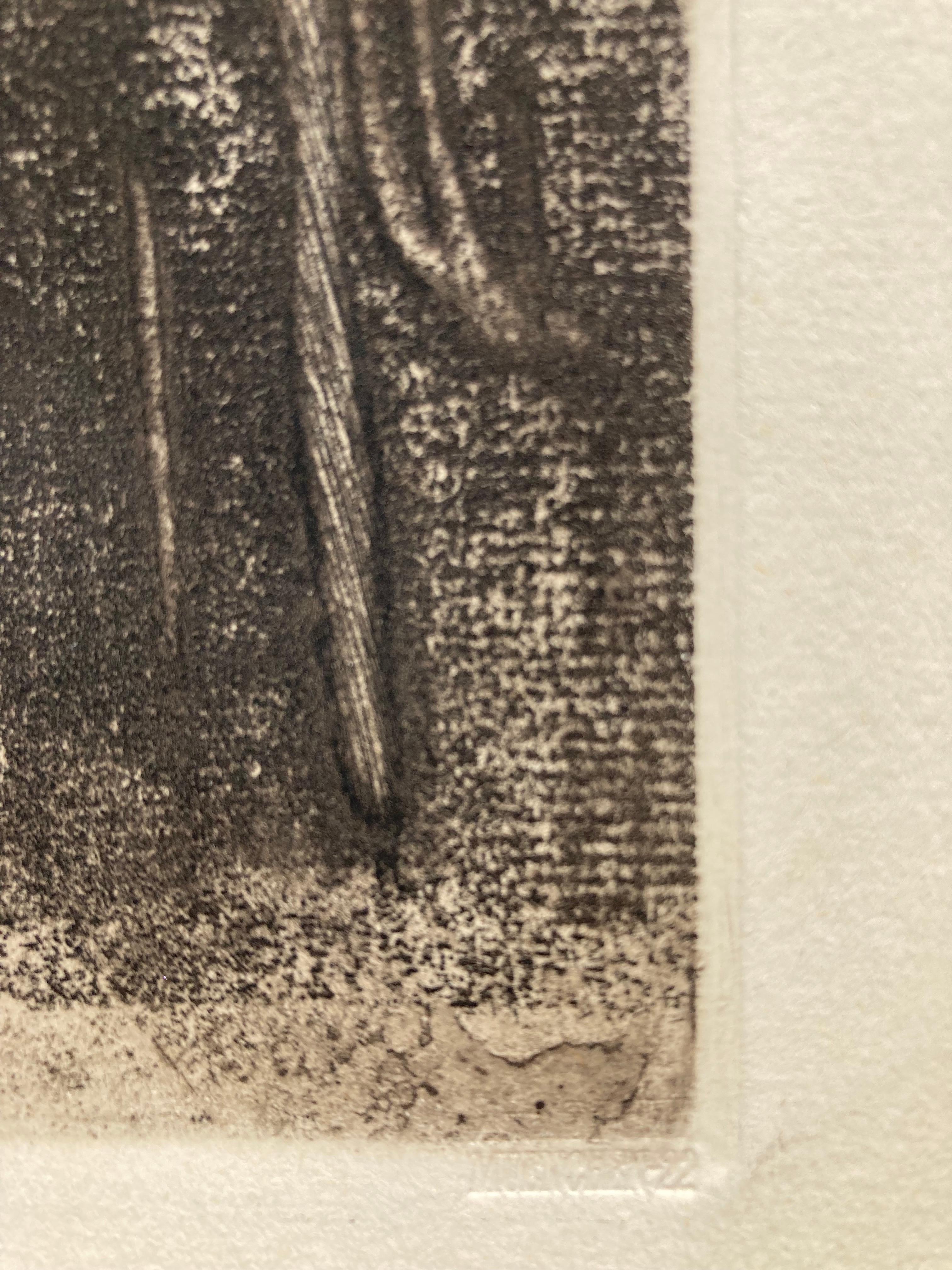 käthe kollwitz artwork