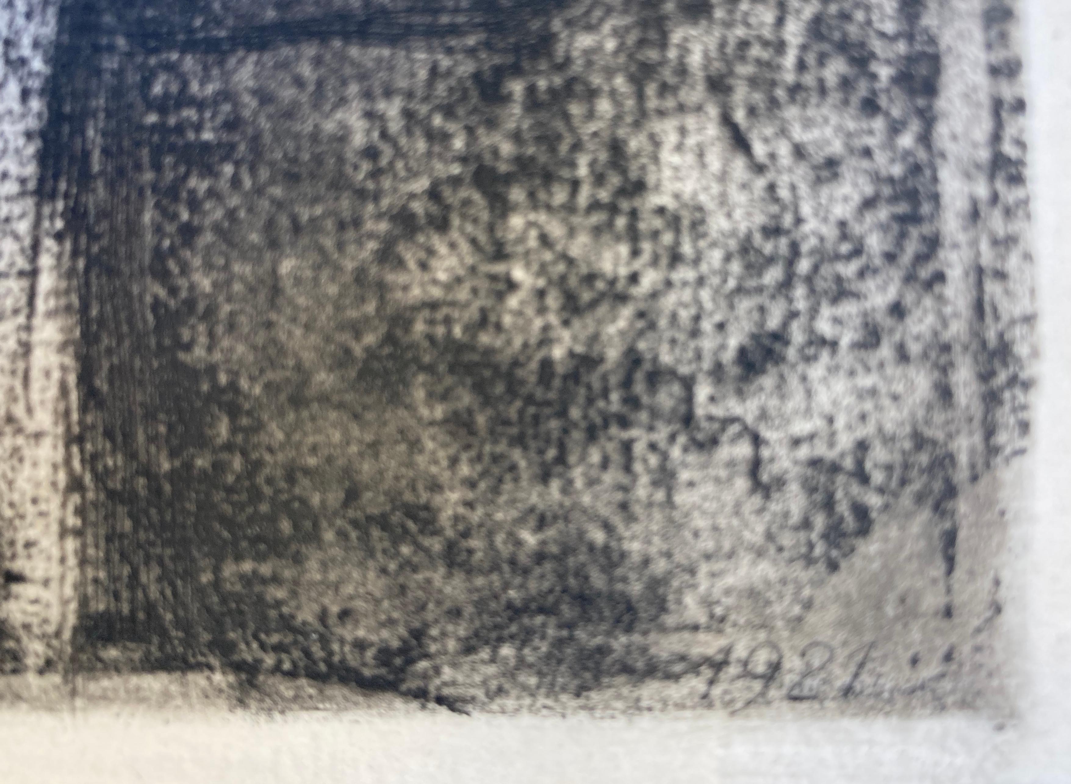 in what medium did kollwitz's genius flower