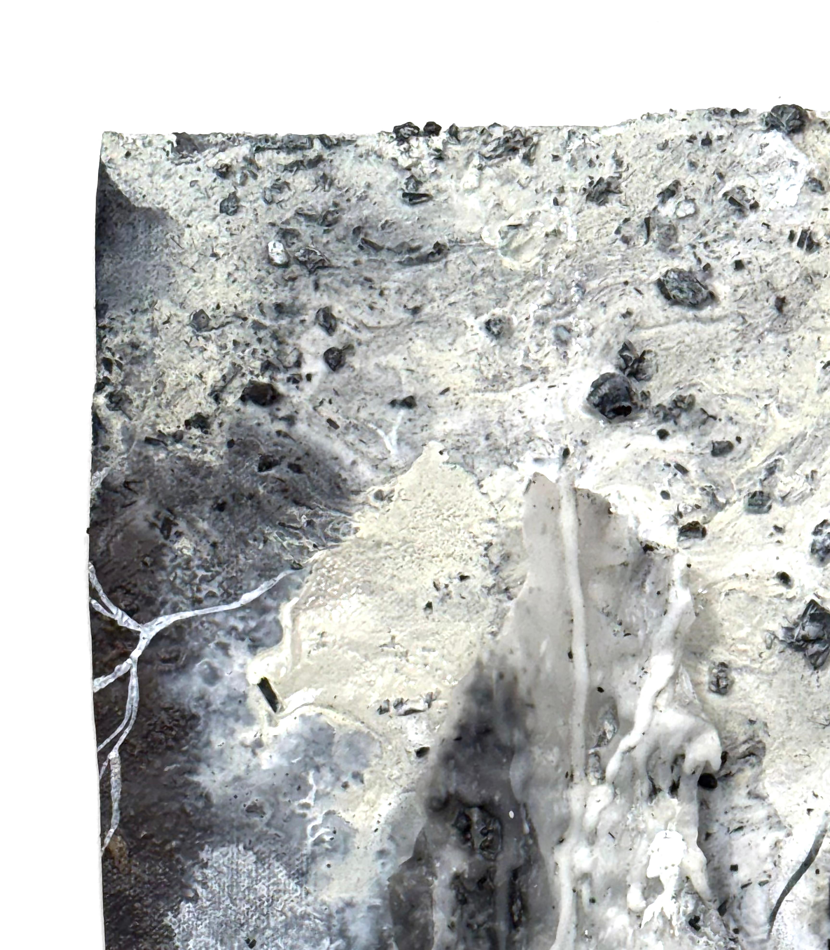 Signs of Life (No. 2) Small-Scale Mixed Media Forest Work by Katherine Filice For Sale 2