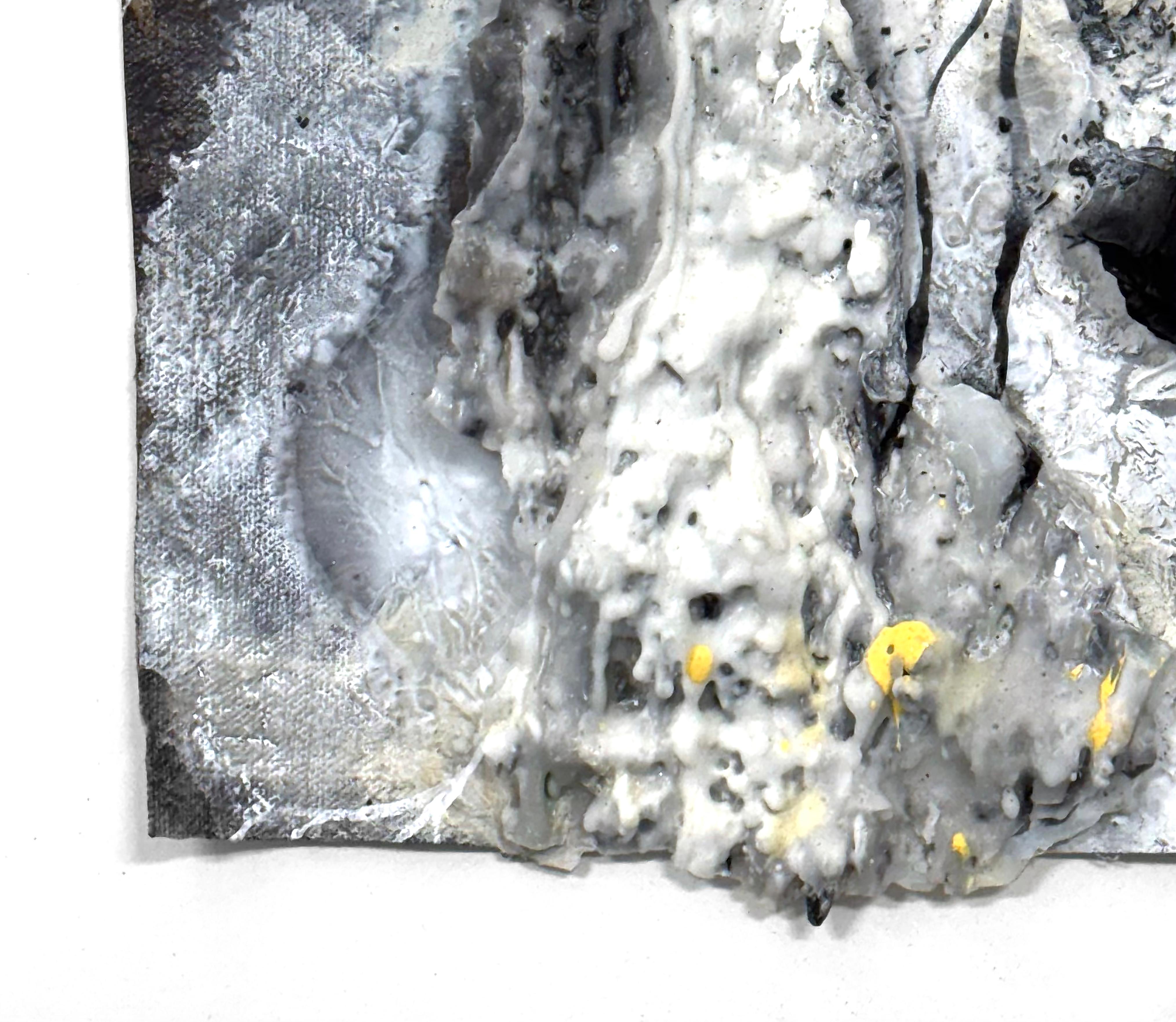 Signs of Life (No. 2) Small-Scale Mixed Media Forest Work by Katherine Filice For Sale 4