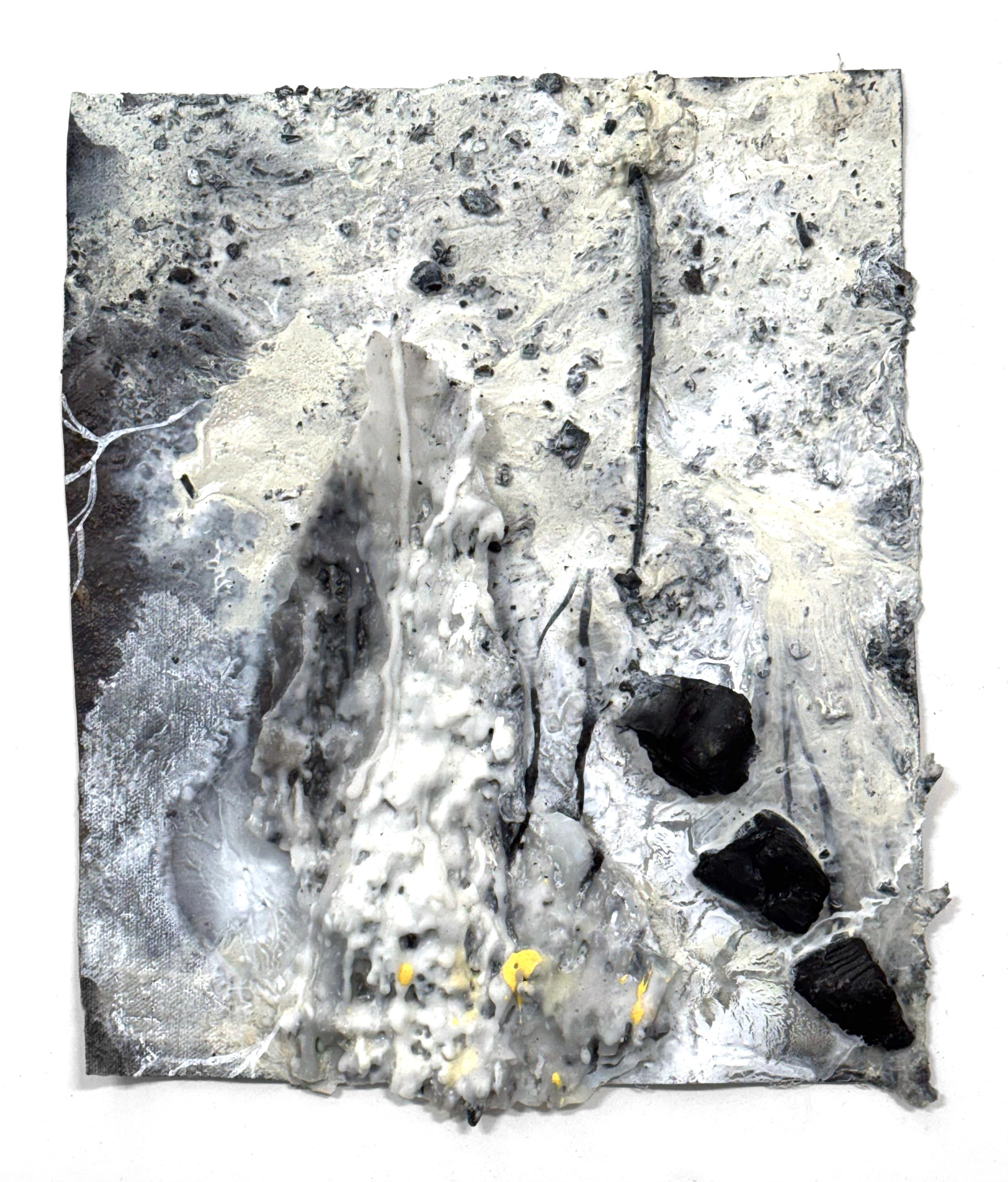 Señales de vida (nº 2) Obra forestal en técnica mixta a pequeña escala de Katherine Filice