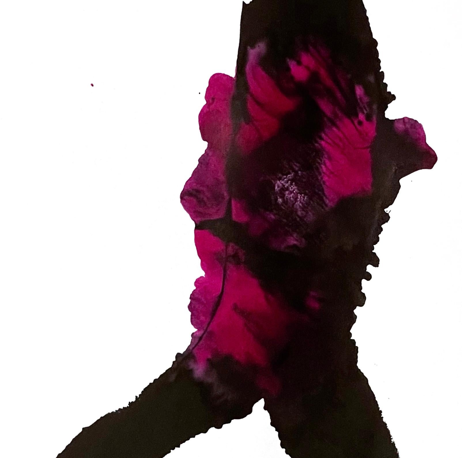 Title: What I Think I Know No. 12 – Black and Pink Ink Drawing by Filice (2021) - Painting by Katherine Filice