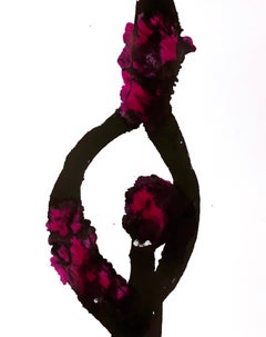 Title: What I Think I Know No. 12 – Black and Pink Ink Drawing by Filice (2021)