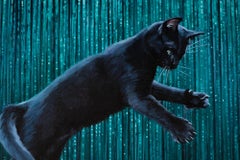"Nine Lives VII" Black Kitten Playing with Green Background