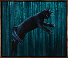 "Nine Lives VII" Gattino nero che gioca con sfondo verde