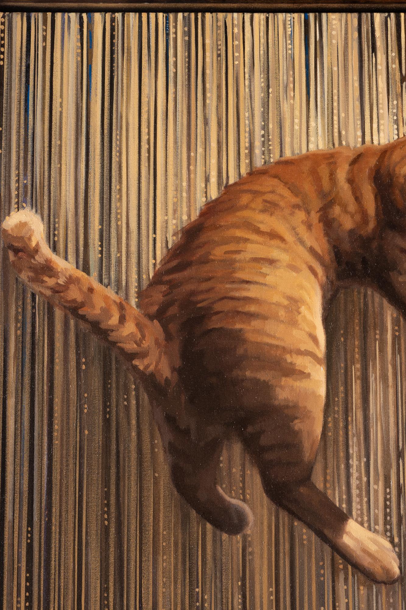 vite del gatto