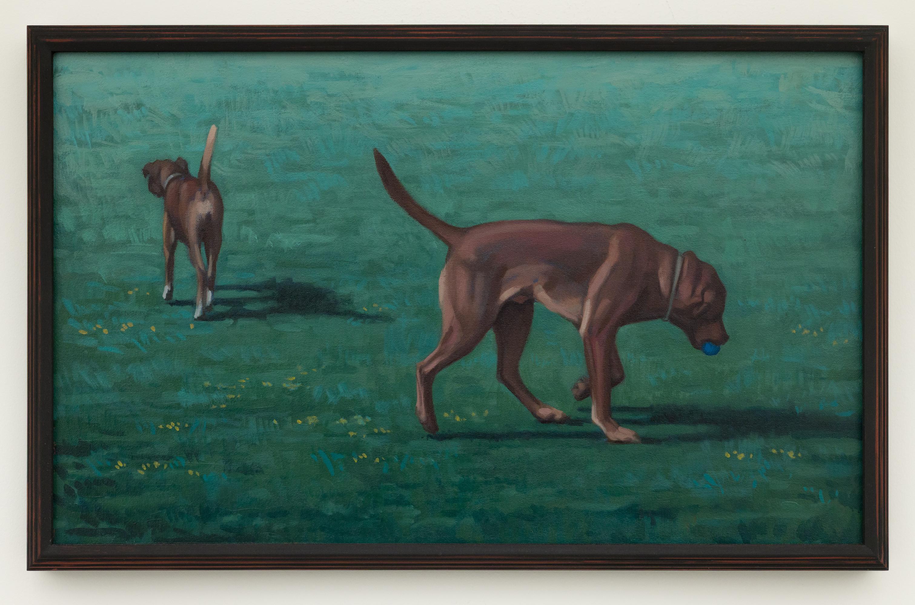 "Pup & Hand" Contemporary Dog Portraits with Ball in Field