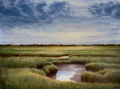 Nuages tourbillonnant au-dessus du Great Marsh paysage atmosphérique contemporain