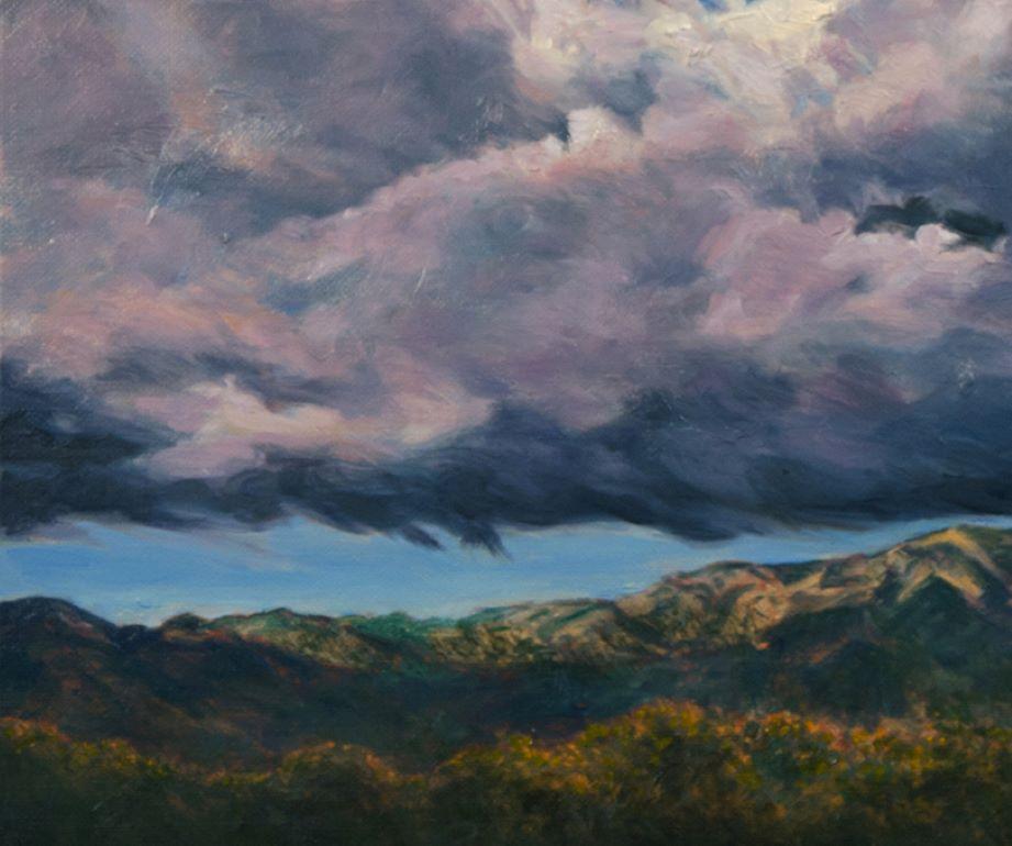 Storm Rise Angeles Forest contemporary landscape For Sale 2