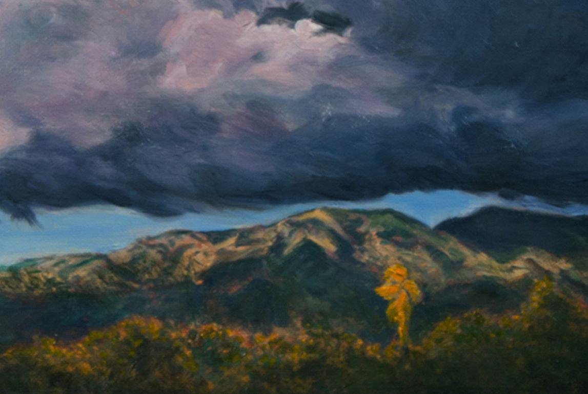 Storm Rise Angeles Forest contemporary landscape For Sale 3