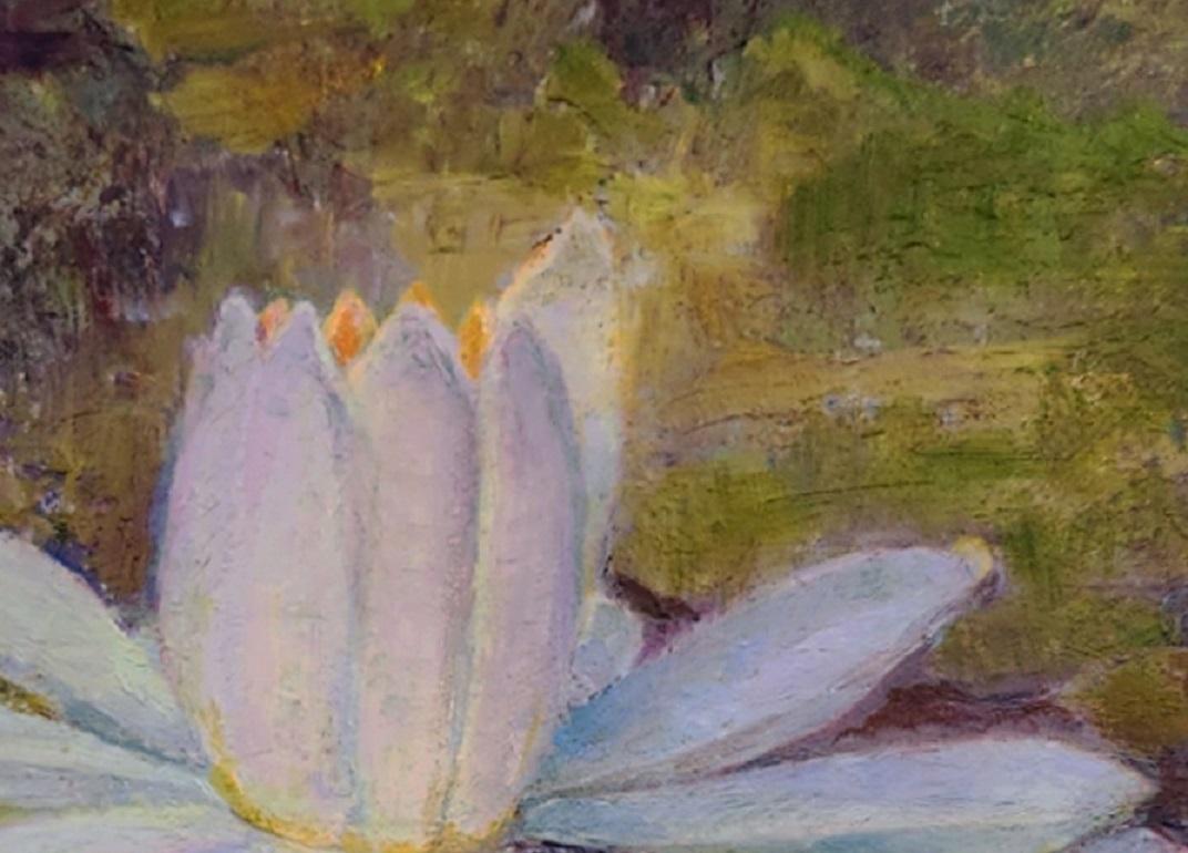 White Water Lily - Painting by Katherine Kean