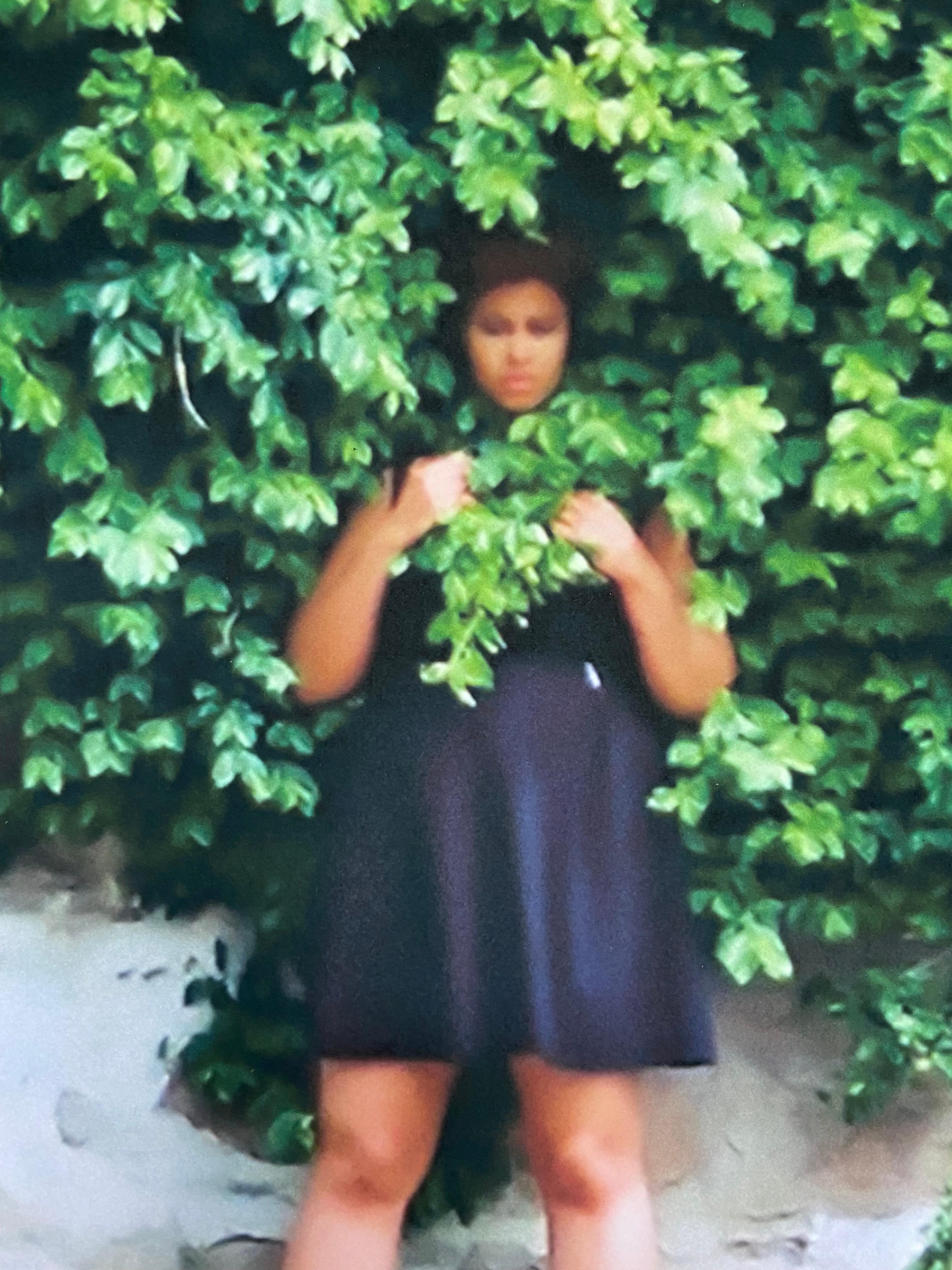 Chiedile come sta: Cynnamon tra i cespugli - Photograph Contemporaneo di Katherine Simone Reynolds