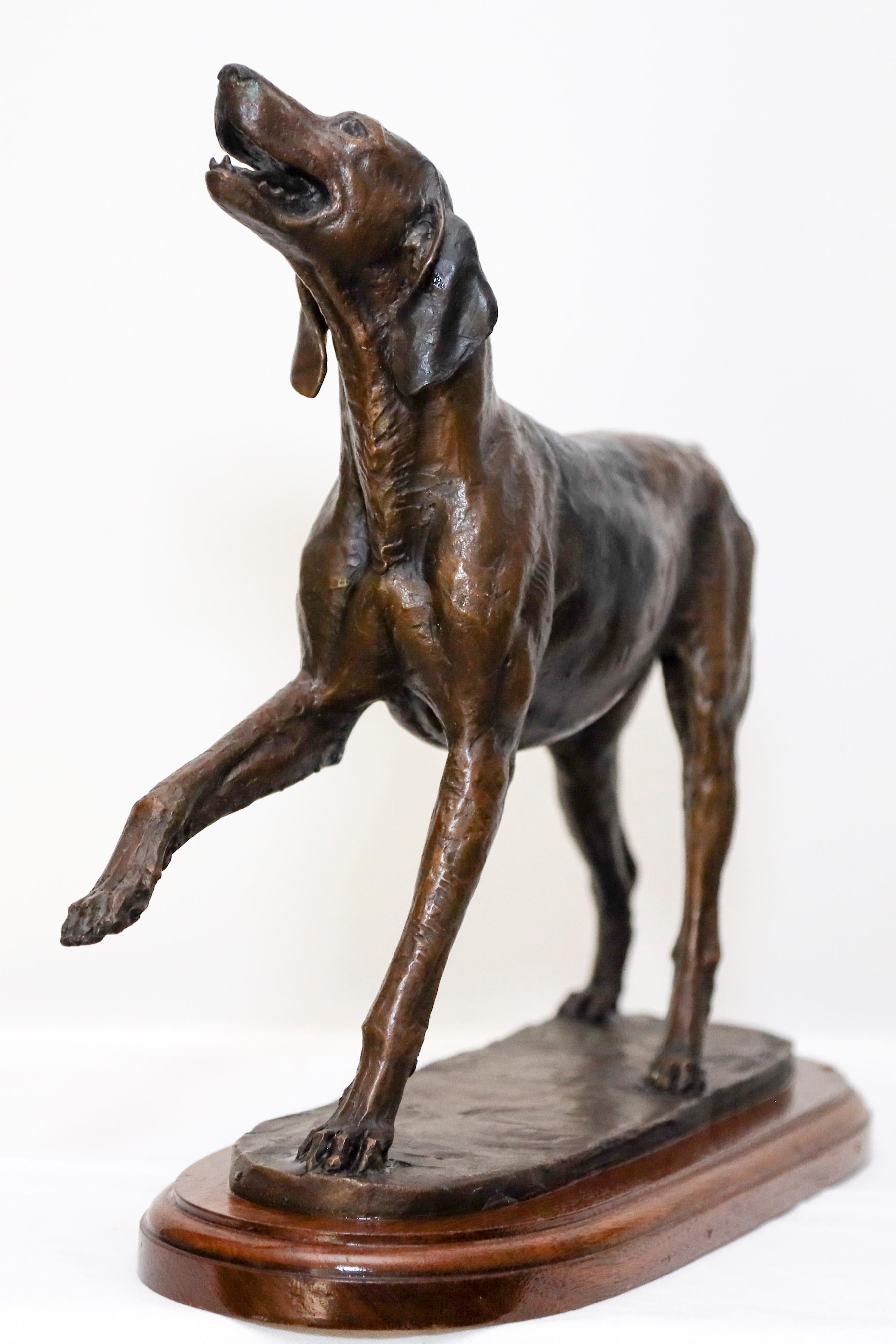 Foxhound - Sculpture de Kathleen Friedenberg