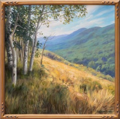 Colorado Hillside