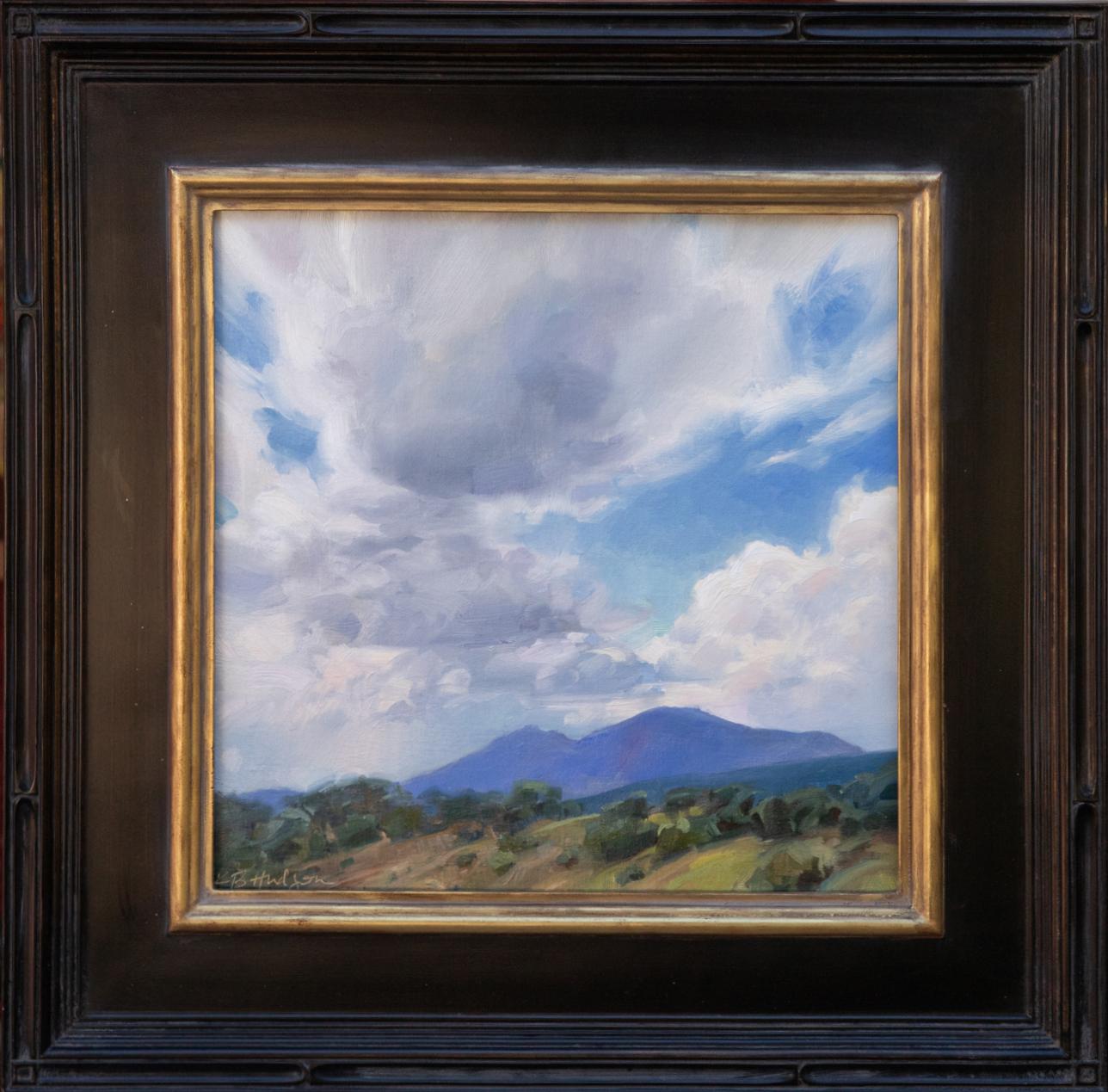 Cielo de Colorado