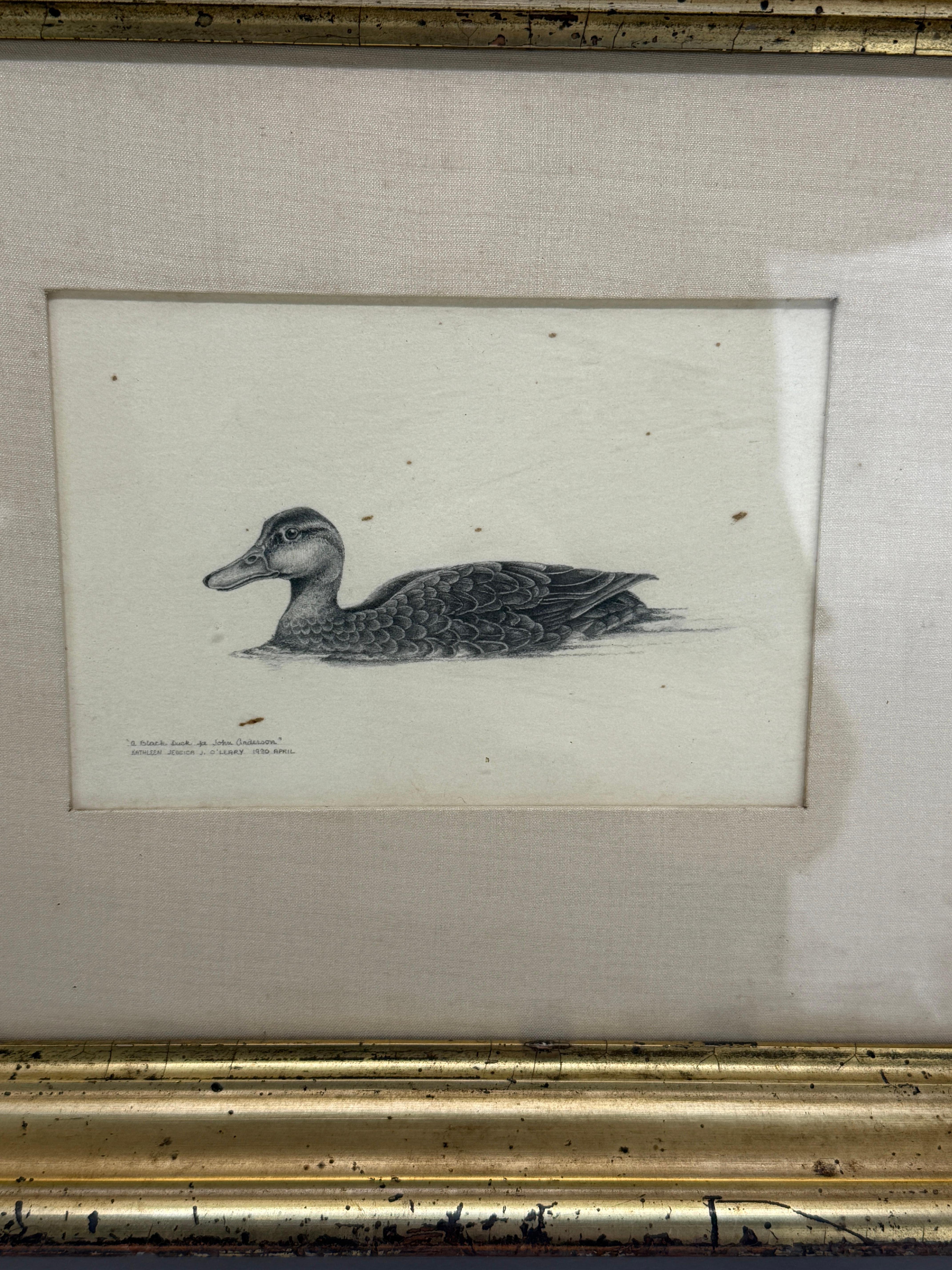 Kathleen Jessica O'Leary Dibujo a lápiz de pato negro, 1980 - Marco del siglo XIX Estadounidense en venta