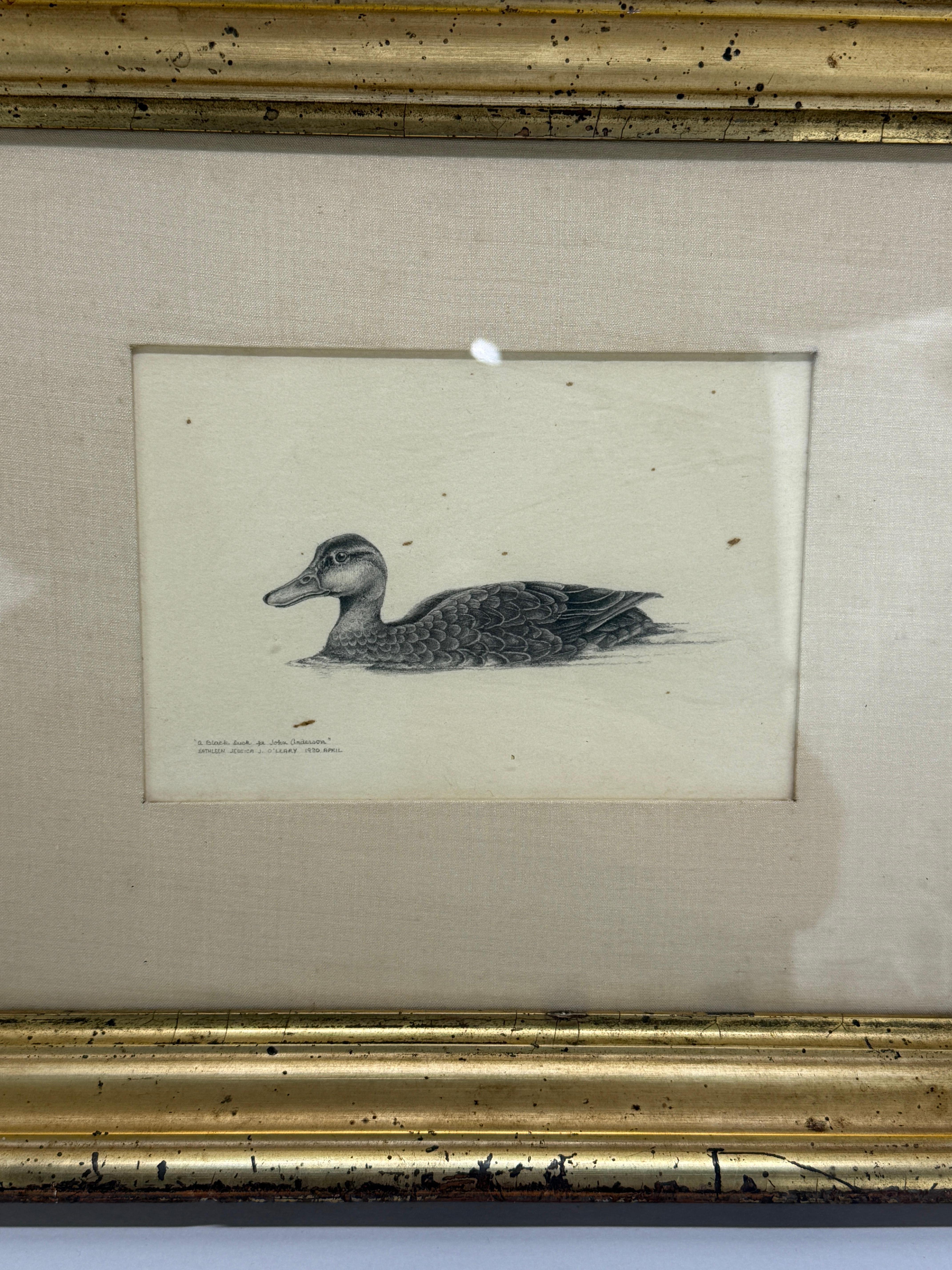 Kathleen Jessica O'Leary Dibujo a lápiz de pato negro, 1980 - Marco del siglo XIX en venta 2