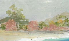 Playa de Big Sur, paisaje diminuto