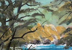 "Cypress Cove" Pt. Lobos, Carmel