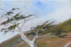 Paysage côtier « Gorda » 2017