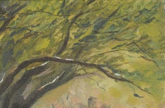 Paysage « Snow + Trees »