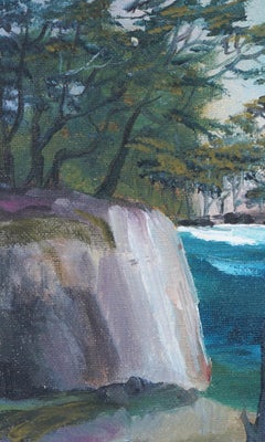 McWay Cove -- Big Sur, Carmel Landscape