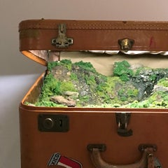 Traveling Landscape (Sunseeker)