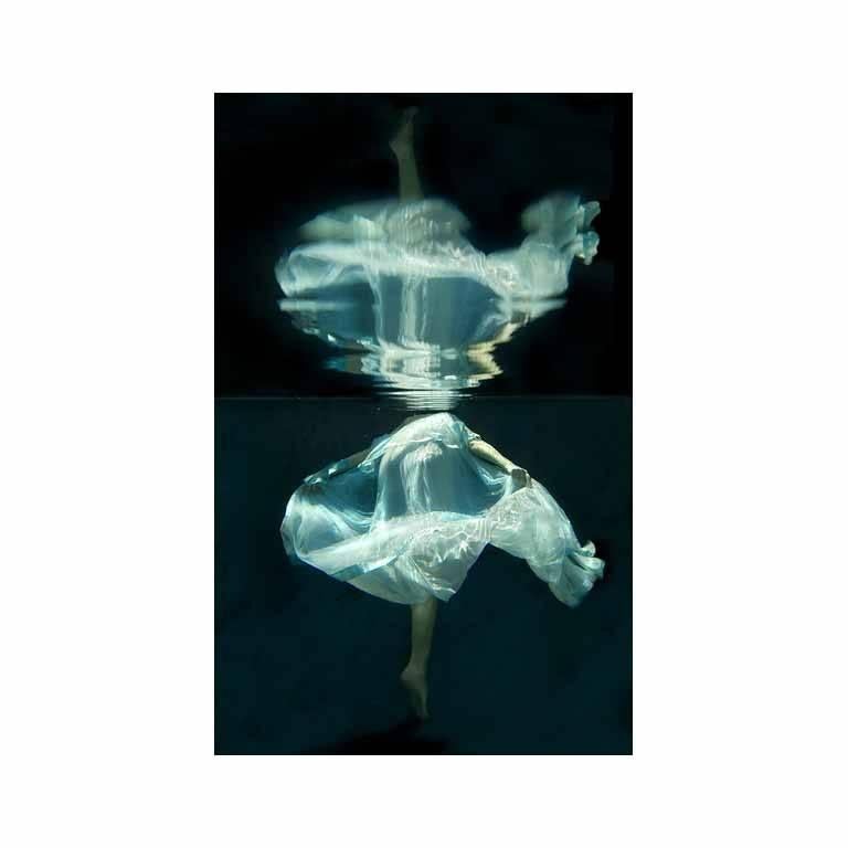 Kathleen Wilke Color Photograph - Jellyfish