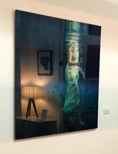The Gift - underwater photography, metallic photo paper contemporary mounted