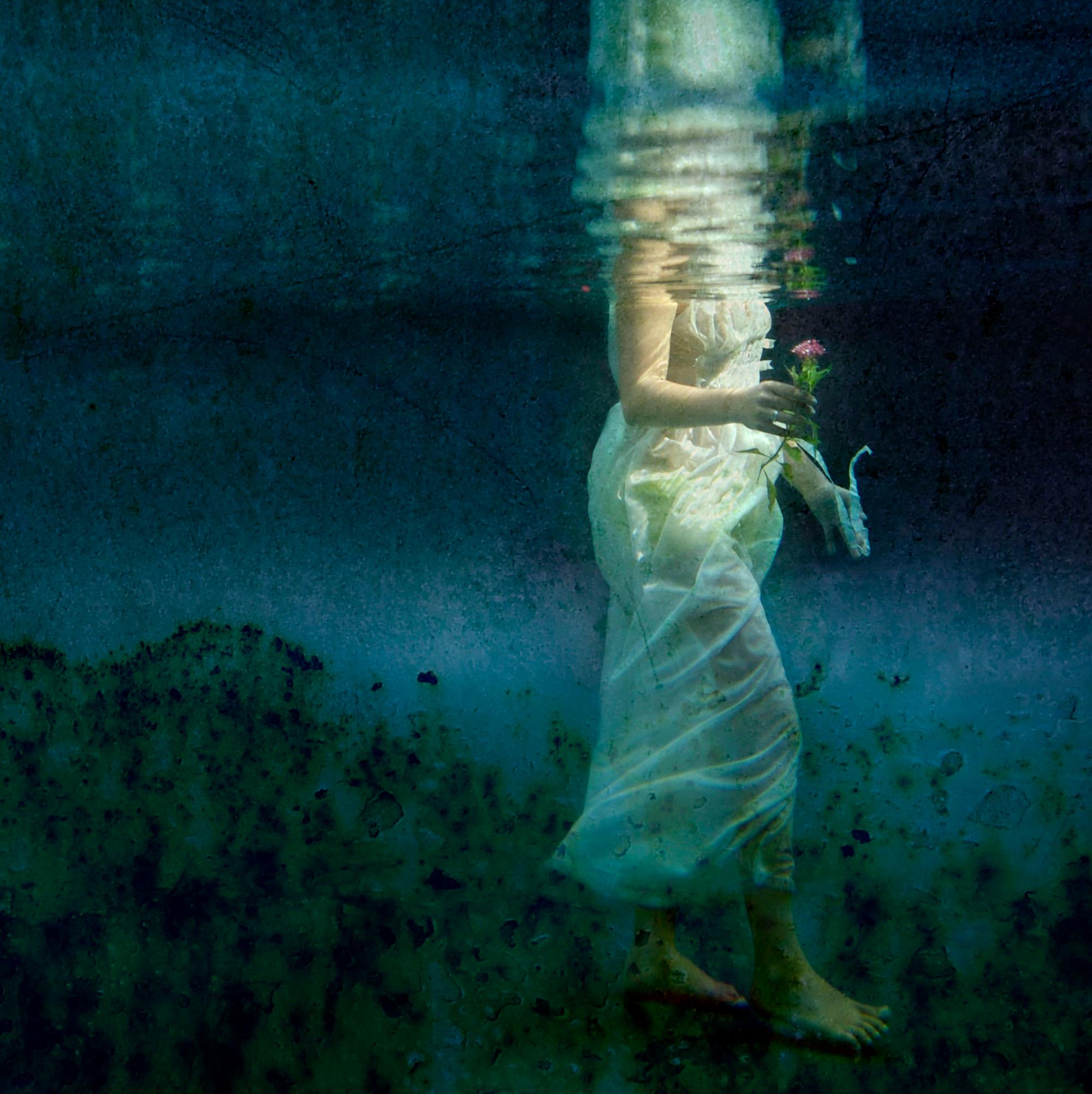 Kathleen Wilke Landscape Photograph - The Gift - underwater photography, metallic photo paper contemporary mounted