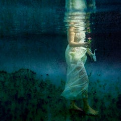 The Gift - underwater photography, metallic photo paper contemporary mounted