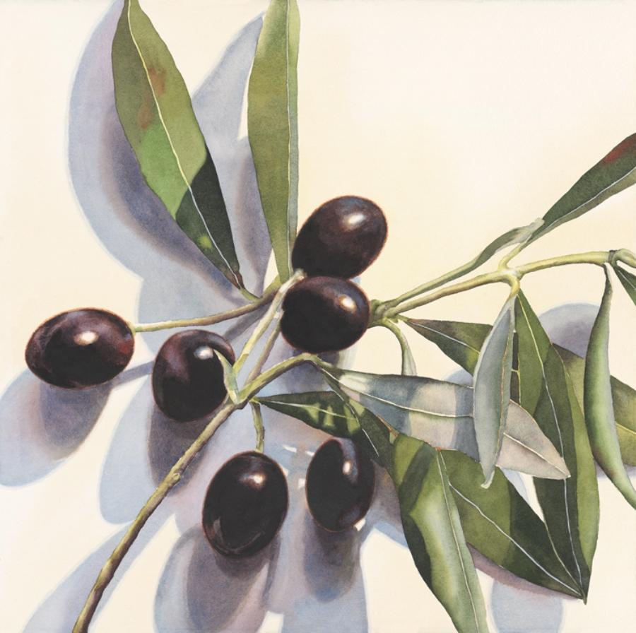 Kathrine Lemke Waste Still-Life Painting - "The Olive Branch"