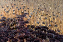 Rêve d'automne - Paysage, fleurs, nature, campagne